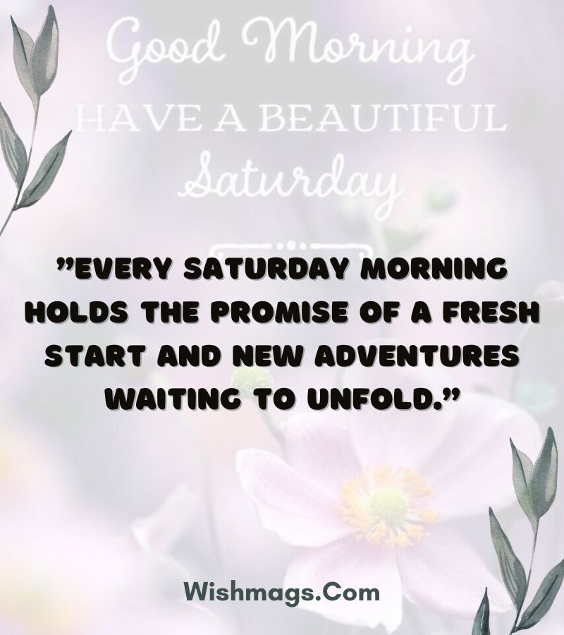 Saturday Morning Quotes