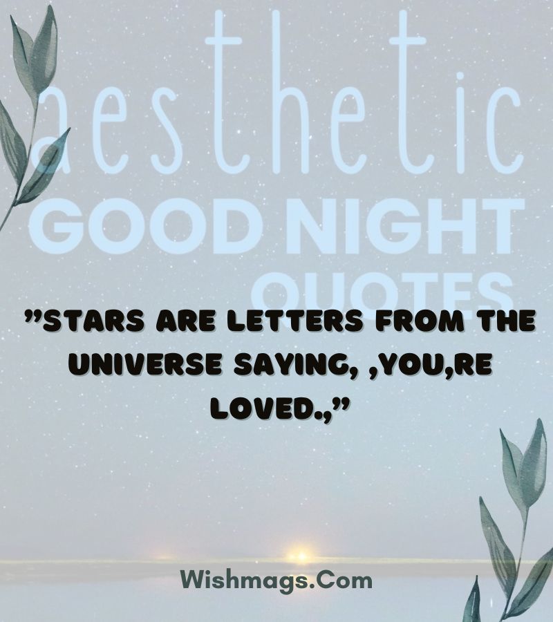 Aesthetic Goodnight Quotes